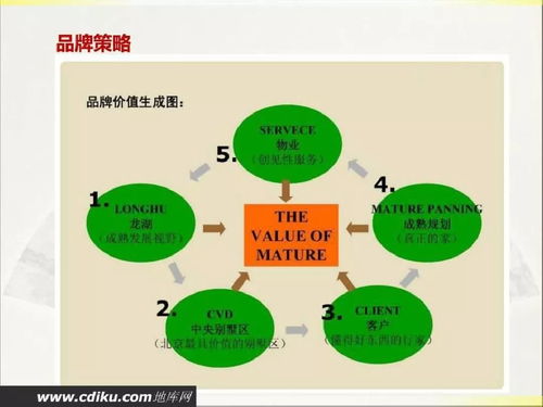 2019年龍湖房產項目實施策劃與公關服務方案