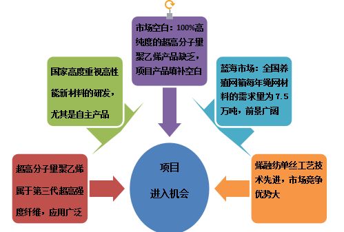 超高分子量聚乙烯產研銷基地建設項目商業(yè)計劃書參考模板