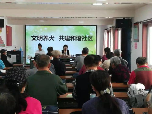 為愛(ài)寵加一道“安全鎖”——光明街道養(yǎng)犬登記年檢與免疫一站式服務(wù)紀(jì)實(shí)